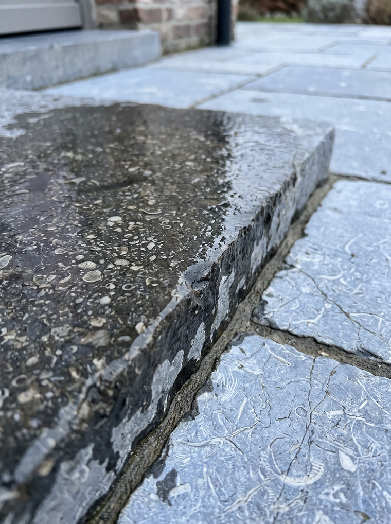 Blauwe hardstenen dorpel nog nat na regen naast drooggetrokken lichtgrijze tegels met fossielpatroon